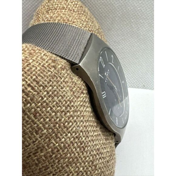 Skagen 805XLTTM1 Men Silver Stainless Steel Mesh Analog Dial Quartz Watch AEA153 main image 8